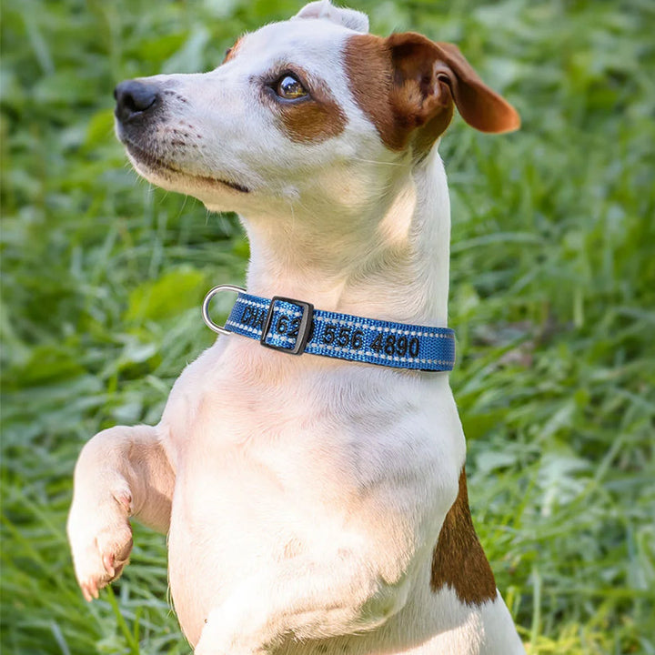 Personalized Adjustable Reflective Strip Dog Collar