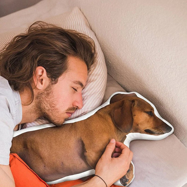 Custom 3D Pet Pillow from Photo - Canvasgiftco