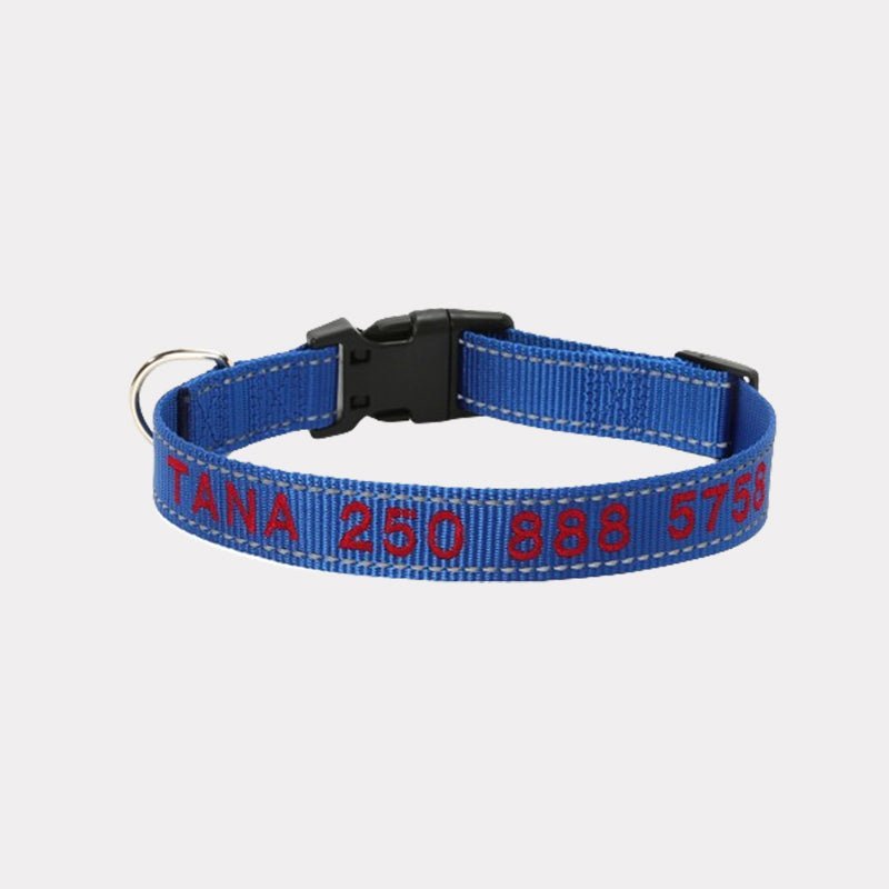Personalized Adjustable Reflective Strip Dog Collar - Canvasgiftco