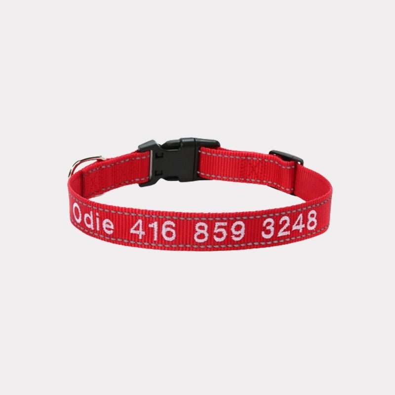 Personalized Adjustable Reflective Strip Dog Collar - Canvasgiftco