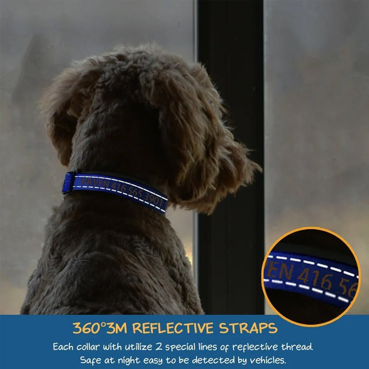 Personalized Adjustable Reflective Strip Dog Collar - Canvasgiftco