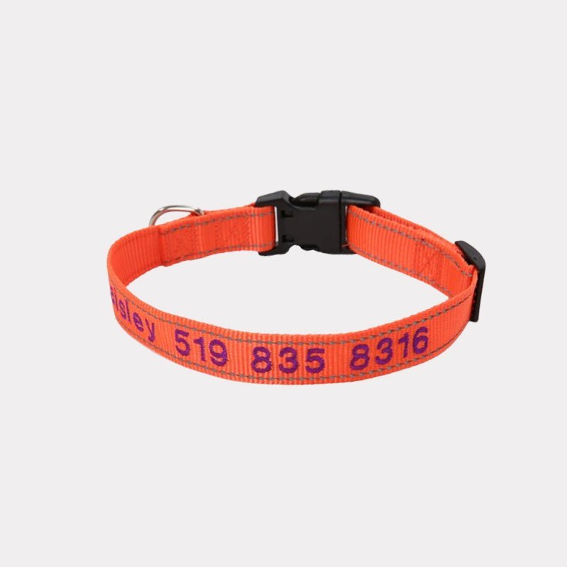Personalized Adjustable Reflective Strip Dog Collar - Canvasgiftco