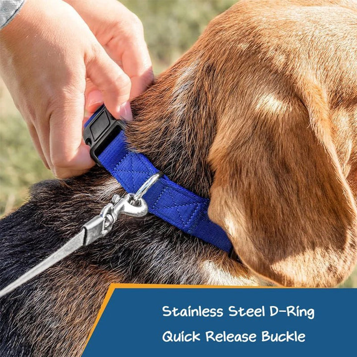 Personalized Adjustable Reflective Strip Dog Collar - Canvasgiftco