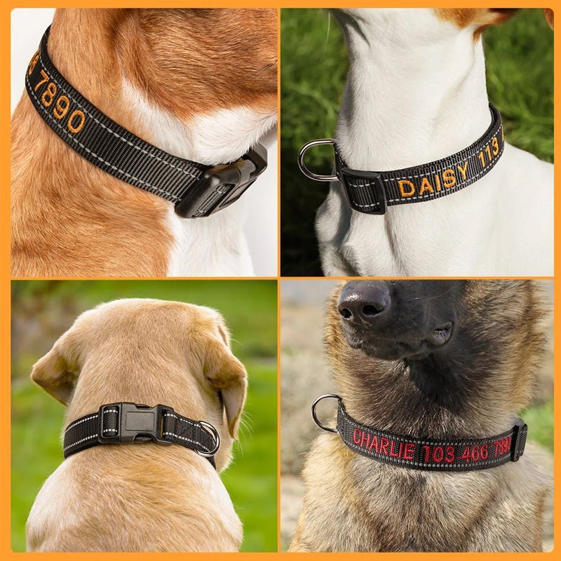 Personalized Adjustable Reflective Strip Dog Collar - Canvasgiftco