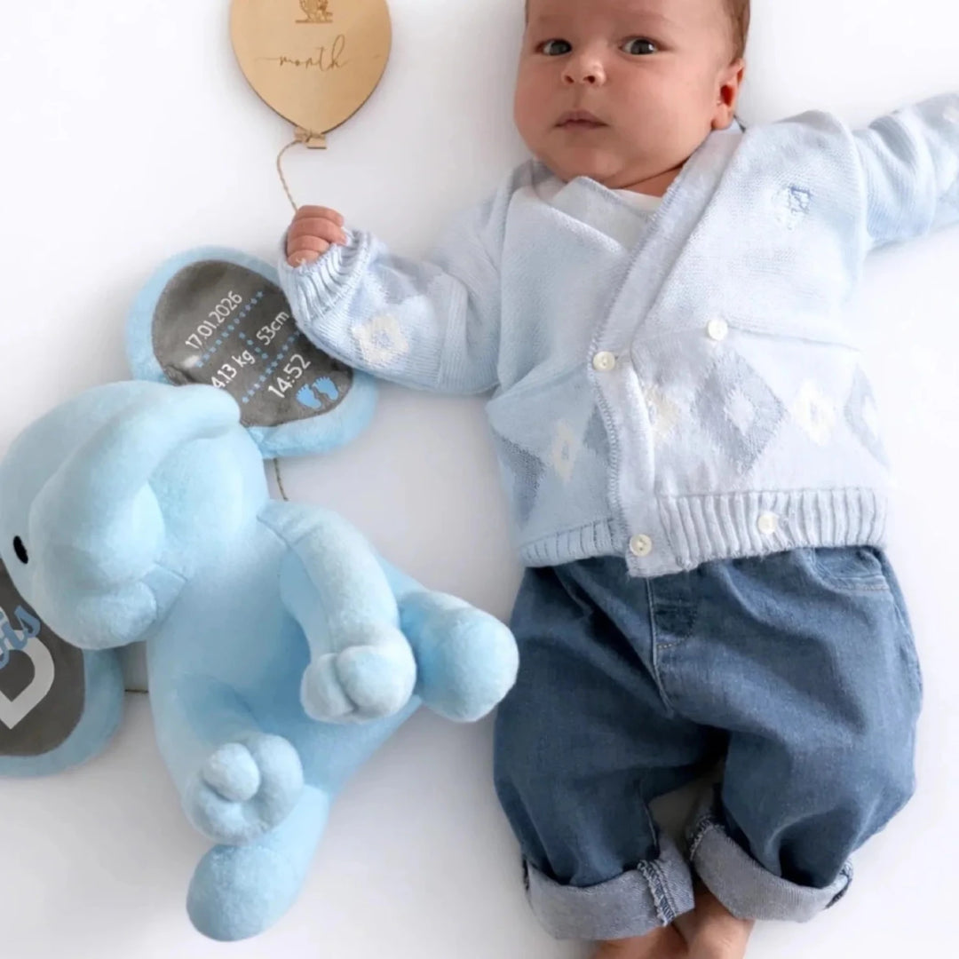 Personalized Baby Elephant Plush – Custom Newborn Birth Details Keepsake Gift - Canvasgiftco