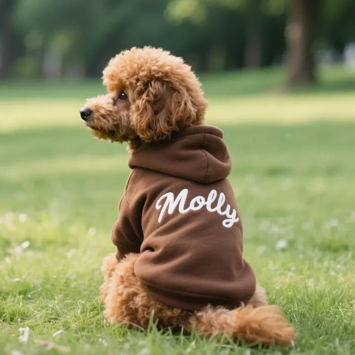 Personalized Dog Embroidered Hoodie - Canvasgiftco